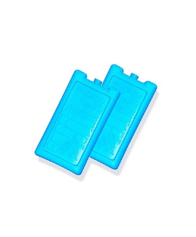 2 - 2 elementi refrigeranti per borsa frigo termica Faboss