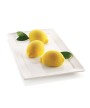 4 - Stampo multiporzione 6 delizia limone 3D silicone Silikomart