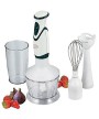 1 - Frullatore ad immersione con accessori