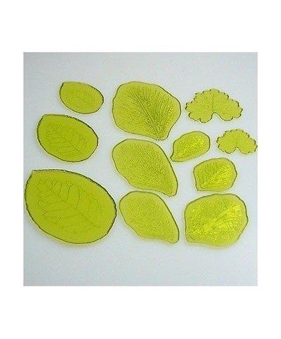 1 - PME SET 11 TAGLIAPASTA TAGLIA PASTA VENATURA FOGLIE PETALI FIORI PASTA