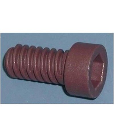 1 - INTEX 11024 VITE PER CAPPELLO RIVESTIMENTO SEQUOIA  PISCINA RICAMBI