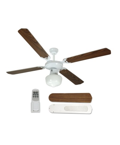 1 - Ventilatore da Soffitto Medina Johnson