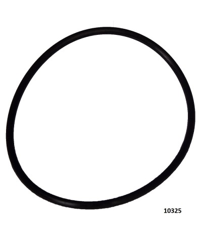 1 - Guarnizione Intex 10325 per pompa filtro e ozonatore