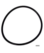 1 - Guarnizione Intex 10325 per pompa filtro e ozonatore