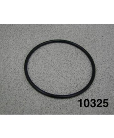 2 - Guarnizione Intex 10325 per pompa filtro e ozonatore