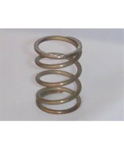 1 - Molla per spremipomodore MED e Spremito Tre Spade 17433