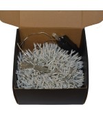 2 - Catena luminosa Luci LED Bianco Caldo 500 cavo trasparente