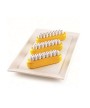 2 - Kit Pop Éclair stampo silicone multiporzione Silikomart