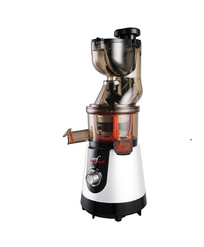 1 - Estrattore Vega 55 giri Melchioni