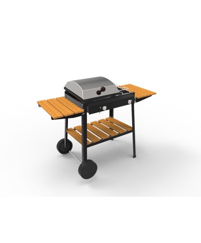 2 - Barbecue Bio Cooking a gas 2 fuochi Ferraboli 62