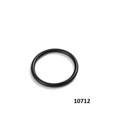 1 - Anello guarnizione ricambio Intex 10712 per pompa filtro e clorinatore
