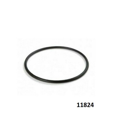1 - Guarnizione 11824 Intex ricambio per pompa filtro a sabbia piscina