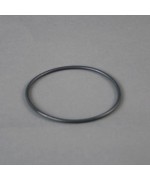 2 - Guarnizione 11824 Intex ricambio per pompa filtro a sabbia piscina