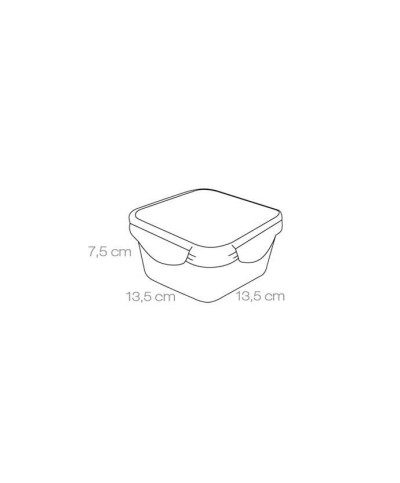 2 - Contenitore quadrato per alimenti Tescoma plastica 0,7 Freshbox