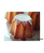 4 - Stampo in silicone 6 pandorini multiporzione Silikomart SF100