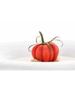 4 - Stampo silicone Pomodoro 24 Naturae Silikomart