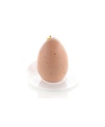 4 - Stampo silicone Egg 30 multiporzione Silikomart 3D