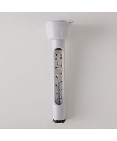 1 - Termometro galleggiante Intex 59634 29039