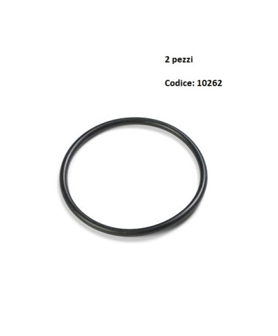 2 - 2 guarnizione Intex 10262 per valvola plunger ricambio