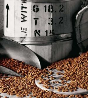 Tutto su Cialde, miscele e buon caffè da bere